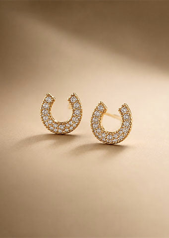 The "Aponi" Thick Stainless Steel Hoop Earrings