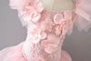 The Esther Appliques Dress - Danielle Emon